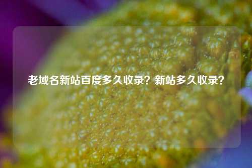 老域名新站百度多久收录？新站多久收录？