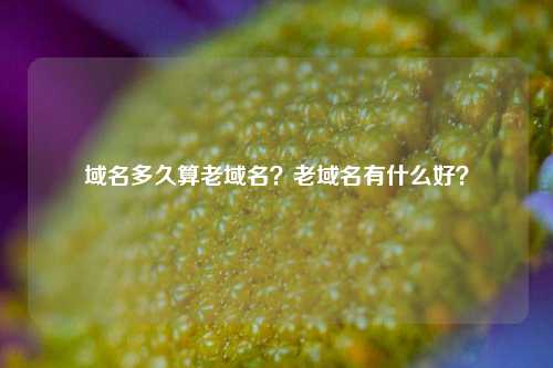 域名多久算老域名？老域名有什么好？